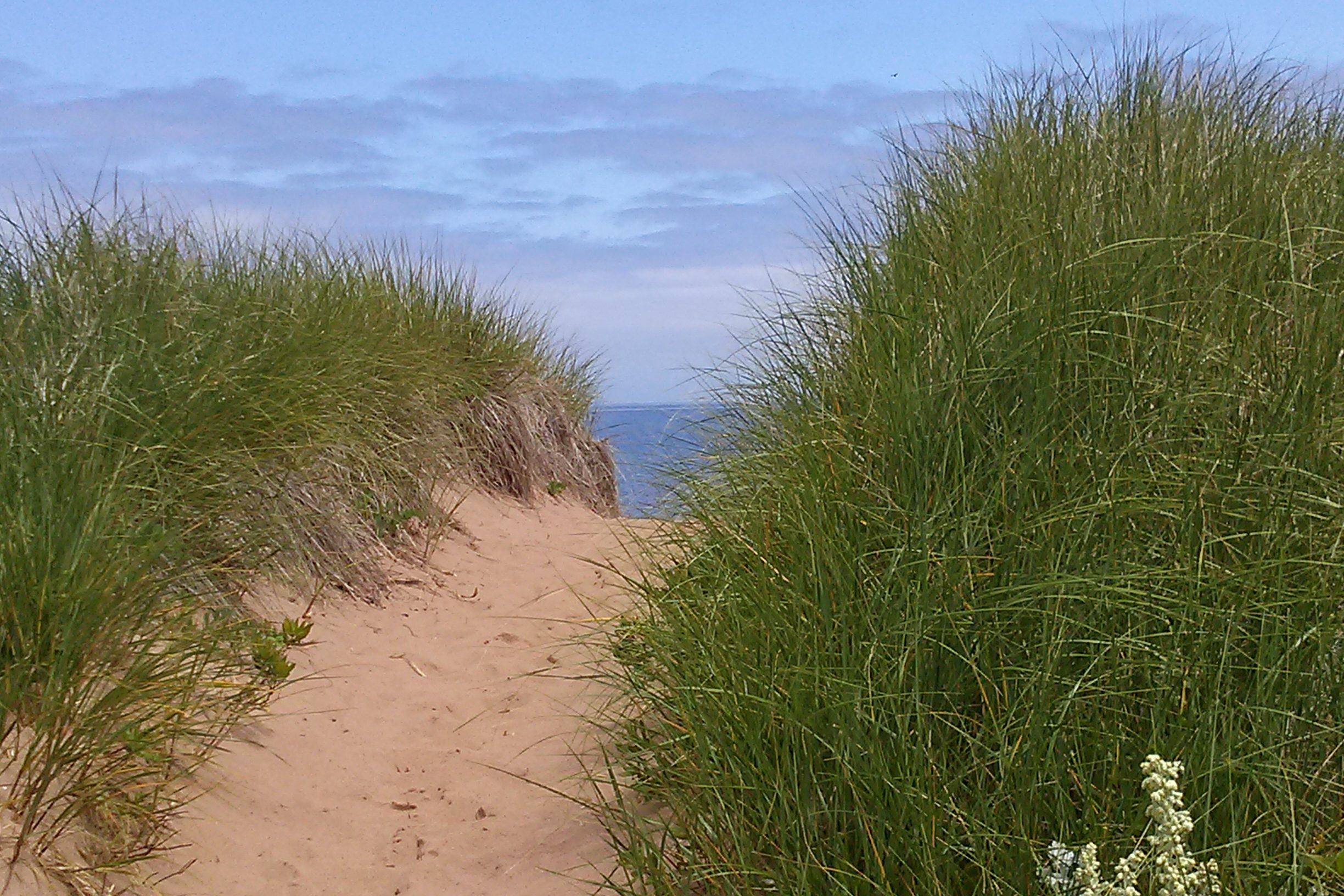 This is a path to the ocean.